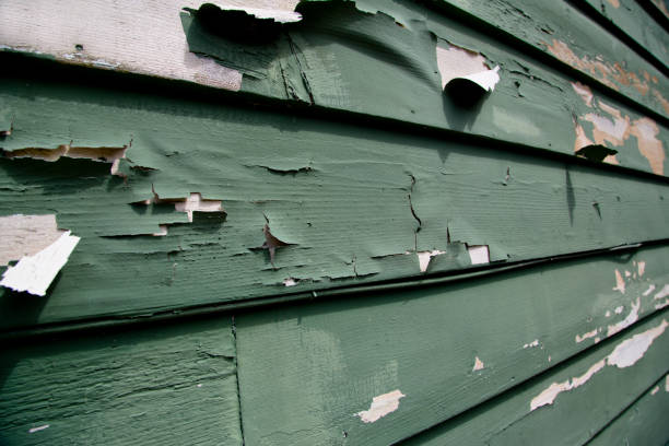  Revere, MA Junk Removal Pros